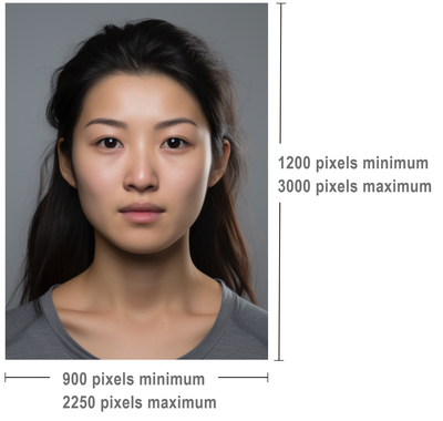 new zealand tourist visa photo size